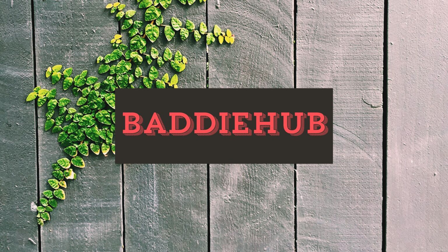 The Rise of Baddiehub: Redefining Digital Influence and Empowerment