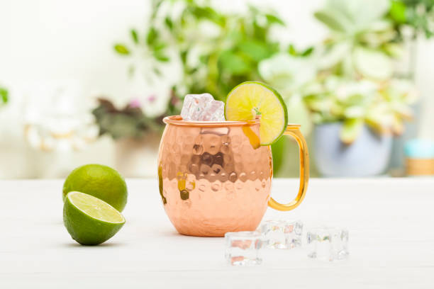 Best Drinks to Enjoy in Moscow Mule Mugs